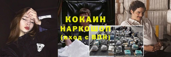 гашик Абаза