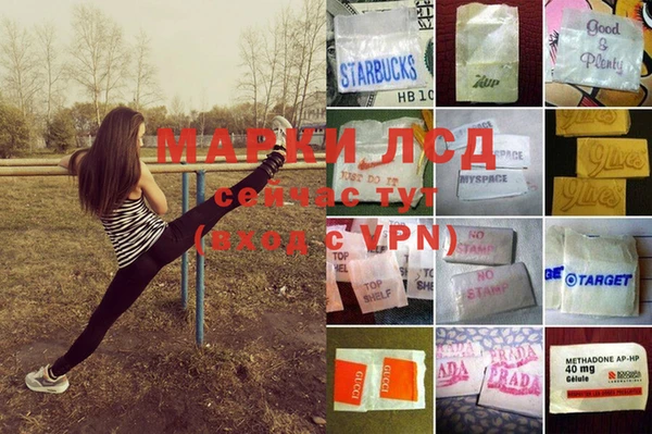 гашик Абаза