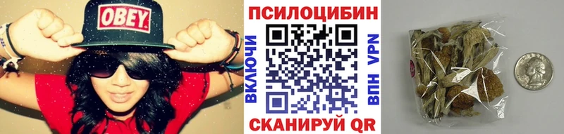 Галлюциногенные грибы ЛСД Щучье